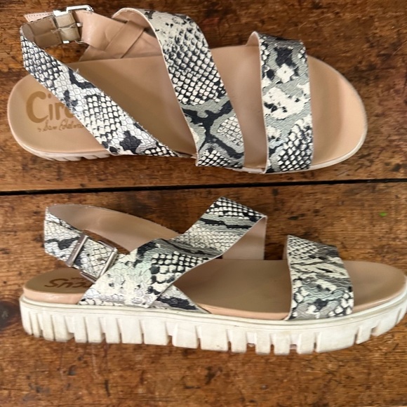 Circus by Sam Edelman Shoes - CIRCUS by Sam Edelman Sandals Snake Print Size 11